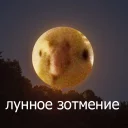 Стикер ЧЕРВОТОЧИНА2 by @deykunator - 11