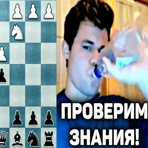 Стикер chesscheese - 1