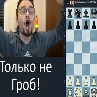 Sticker конь прыгает - 1