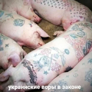 Стикер 1 pack prod. chetvertak slowed&rewerb😔🥀 remix - 3