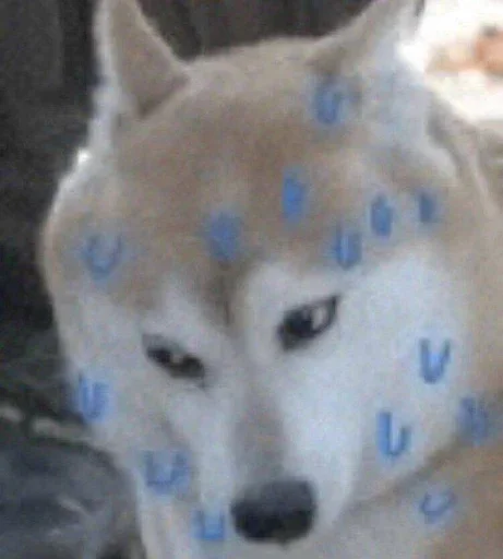 Стикер chhhok - 1