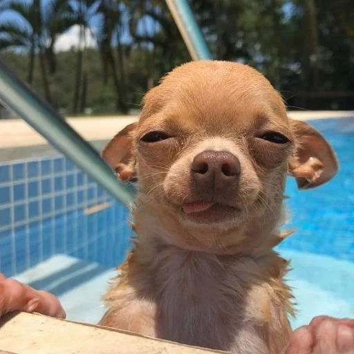 Channel | @badassSong - 