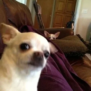 Стикер Channel | @badassSong - 9