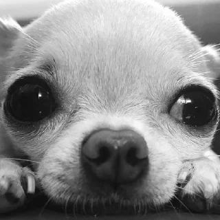 Стикер Channel | @badassSong - 1