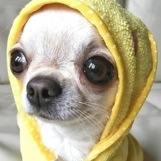 Стикер Channel | @badassSong - 11