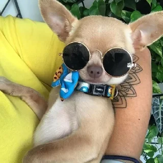 Стикер Channel | @badassSong - 0