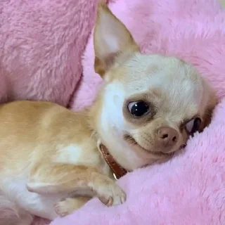 Стикер Channel | @badassSong - 7