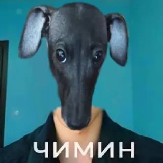 Sticker чиминцы @TgEmodziBot - 7