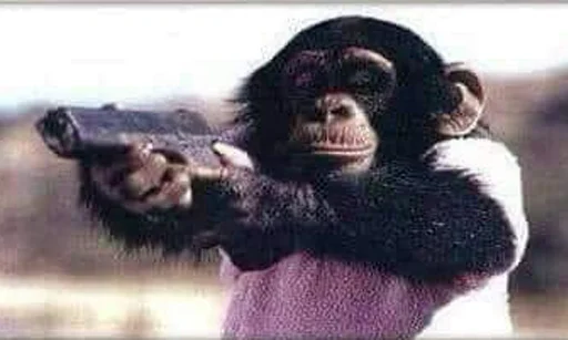 Стикер chimpmonke - 1