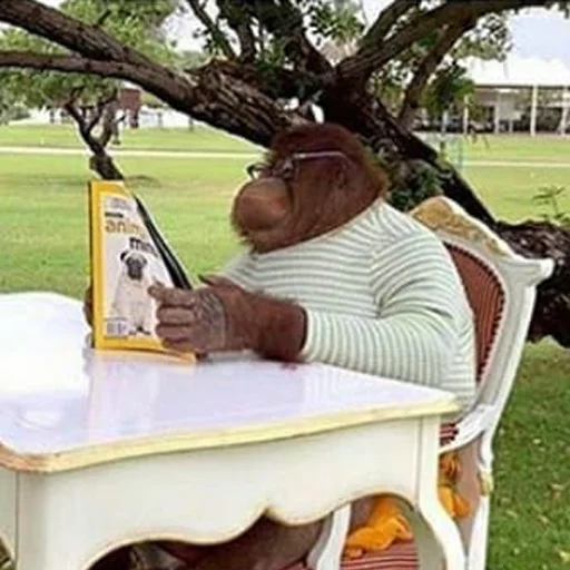 Sticker chimpmonke - 1