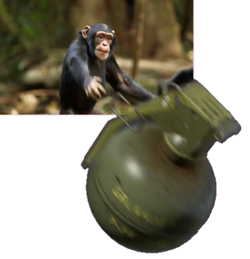 Стикер chimpmonke - 1