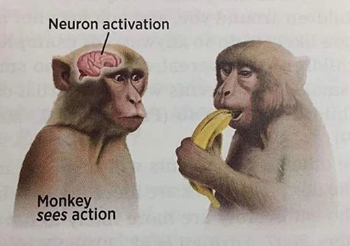 Стикер chimpmonke - 1