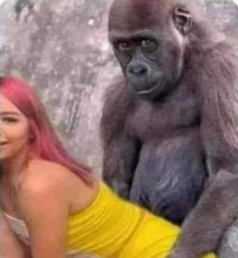 Sticker chimpmonke - 1