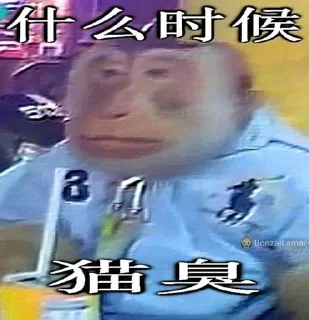 Стикер monke - 9