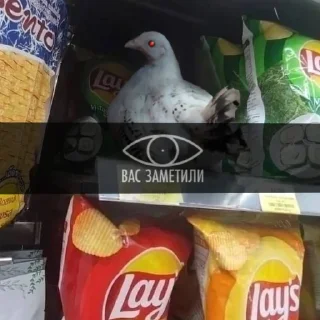 Стикер coco chips - 5