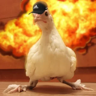 Стикер coco chips - 0