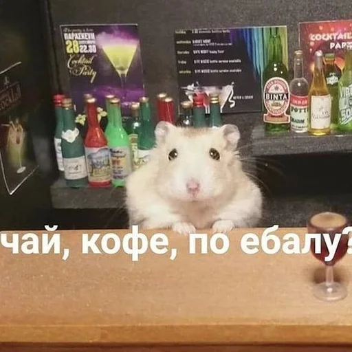 text mammal hamster