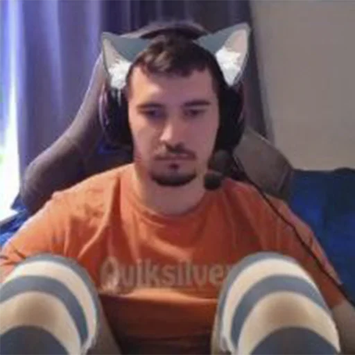 Человек человеческое лицо комнатный