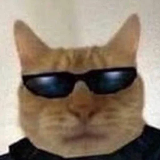 кошка защитные очки Очки