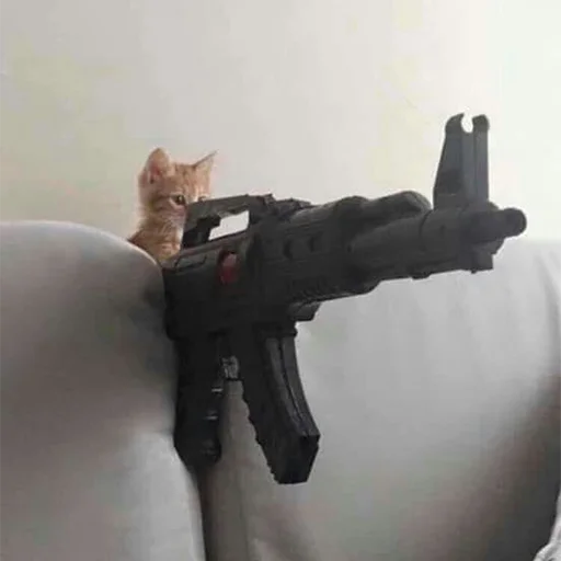 игрушка оружие кошка