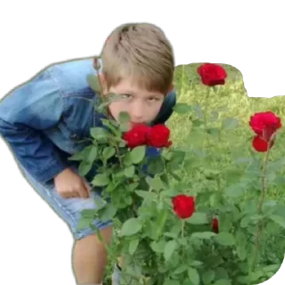 Стикер чмо - 1