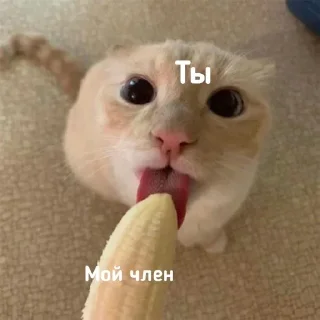 Sticker Чмофник - 7