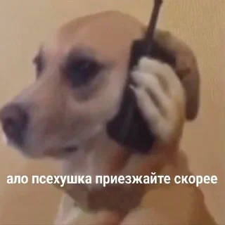 Sticker Чмофник - 11