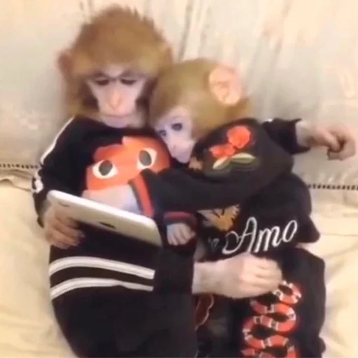 Sticker чмок в пупок - 10