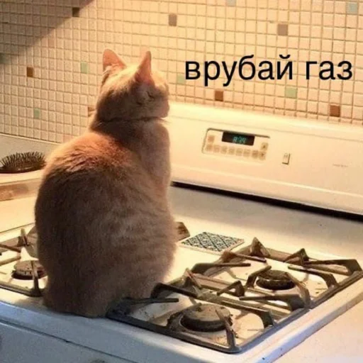 Sticker чмок в пупок - 9