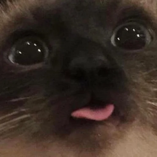 Sticker чмок в пупок - 7