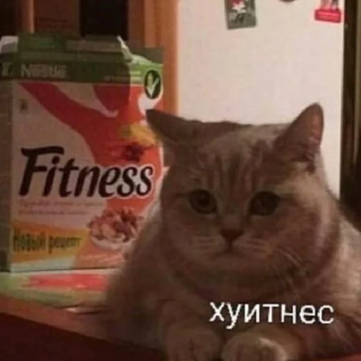 Sticker чмок в пупок - 4