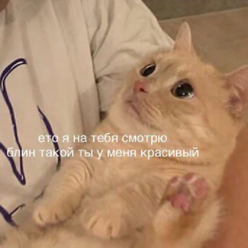 Sticker чмок в пупок - 2