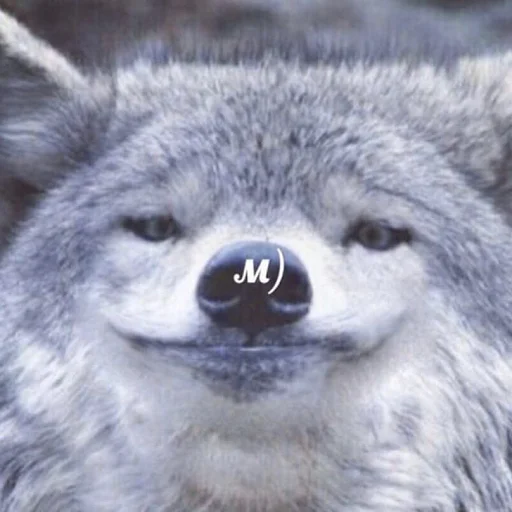 Sticker чмок в пупок - 1