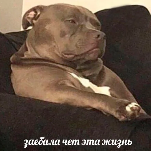 Sticker чмок в пупок - 0