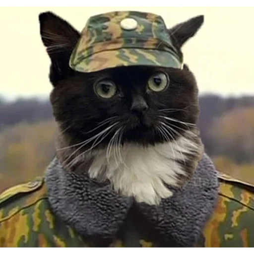 Стикер chmoniya - 1