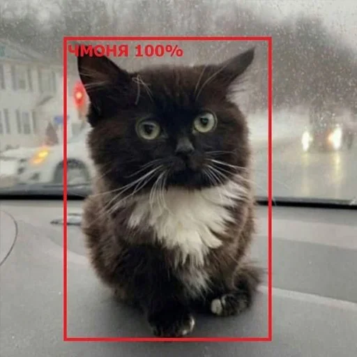 Sticker chmoniya - 1