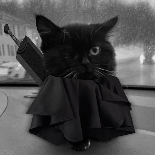 Стикер chmoniya - 1