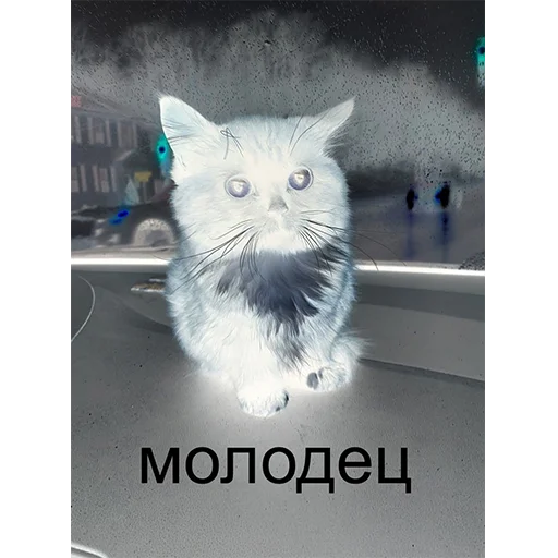 Стикер chmoniya - 1