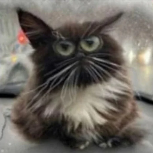 Стикер chmoniya - 1