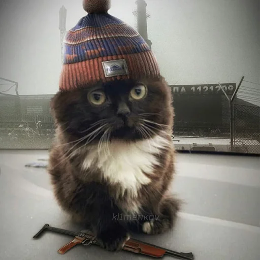 Стикер chmoniya - 1