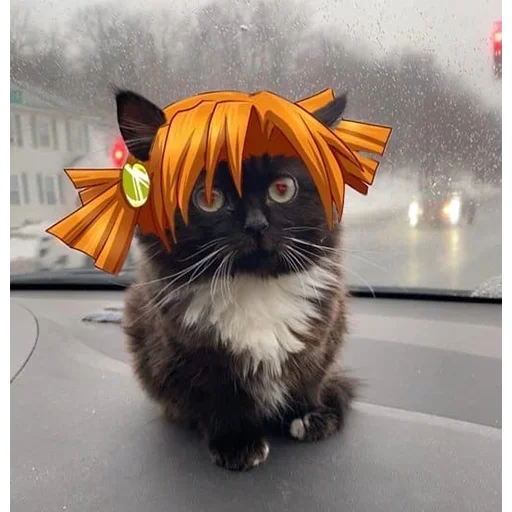 Стикер chmoniya - 1