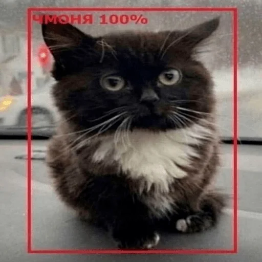 Sticker чмони - 3