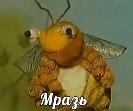 text invertebrate insect