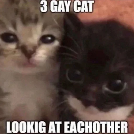 Стикер chokopipa - 1