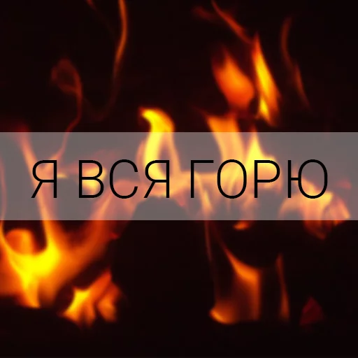 @chopchop69 passion - 