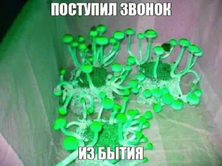 Sticker мокротная железная сырость (язвище) - 11