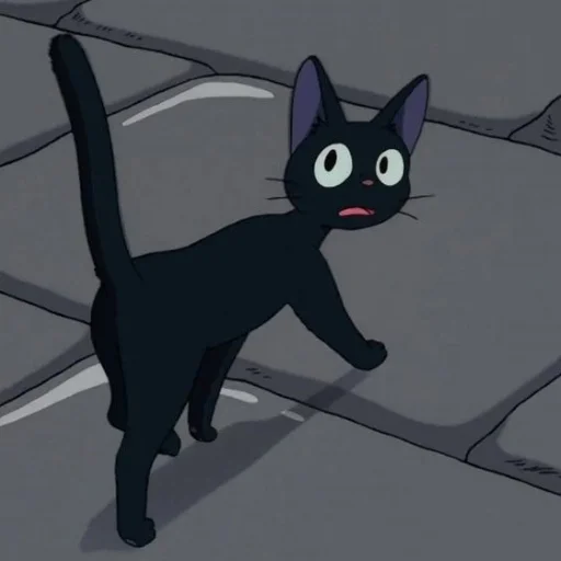 cat cartoon animation