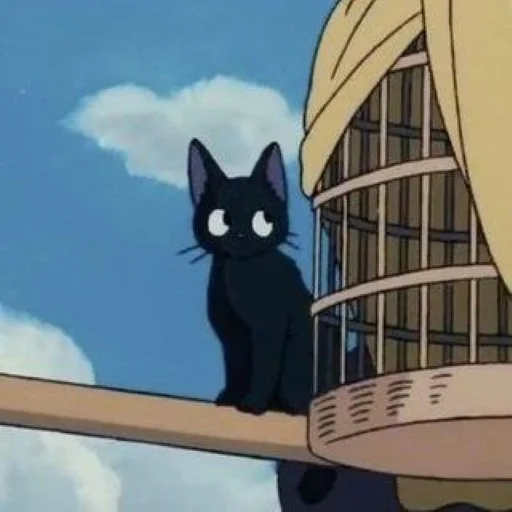 small to medium-sized cats cat sky