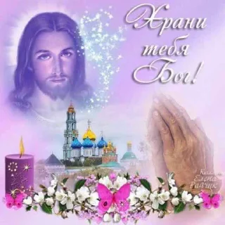 Sticker torchebosiya - 3