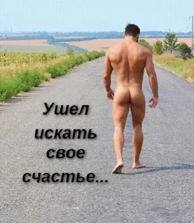 Sticker torchebosiya - 5